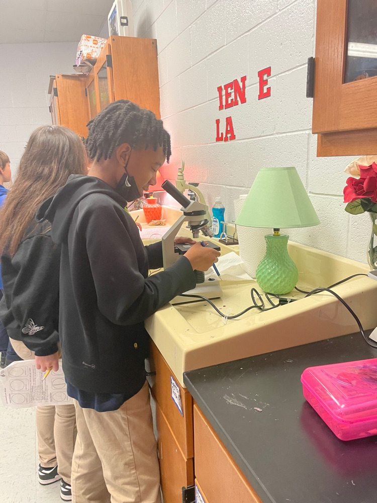 Live Feed Byhalia Middle School